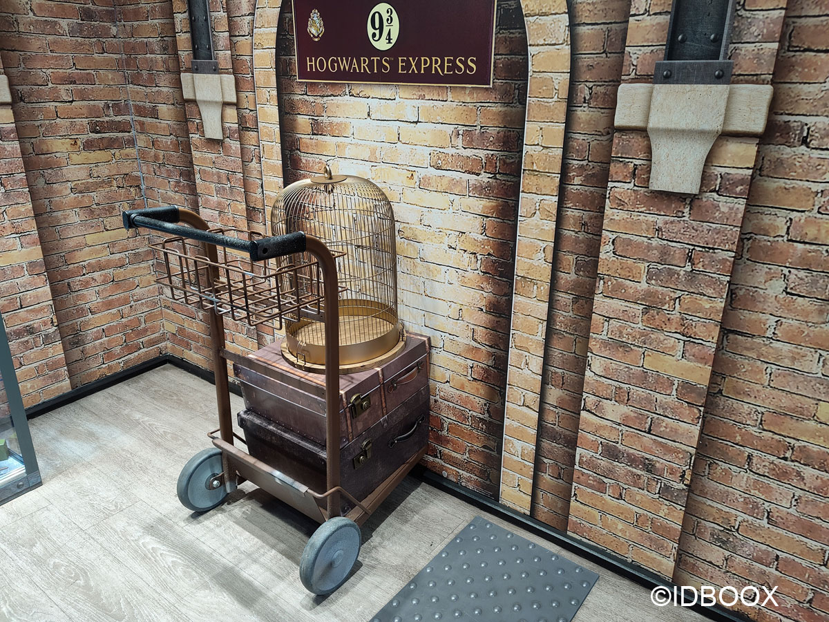 Harry Potter : une boutique d'objets de déco inspirés de la saga a ouvert  ses portes à Paris